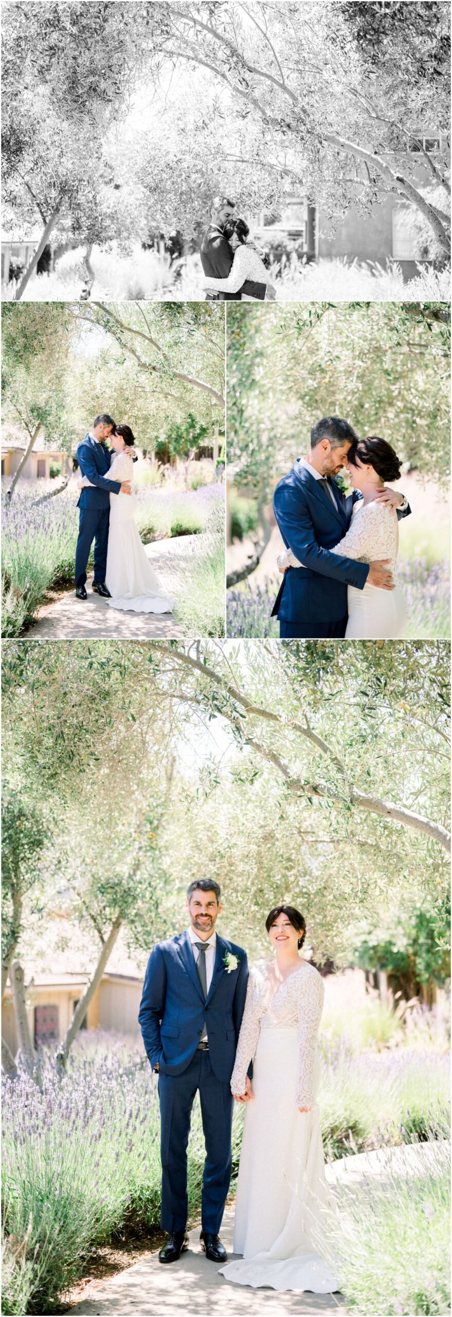 bride and groom in front of trees and lavender hugging